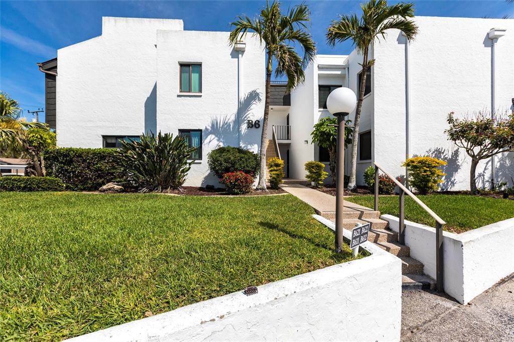 a view of a garden with palm trees
