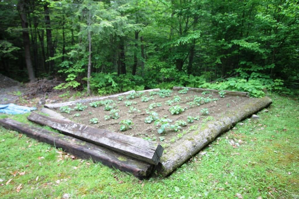 Tbd Tbd Tbd Road Greenville, ME 04441 - Photo 5 of 30 raised vegetable garden