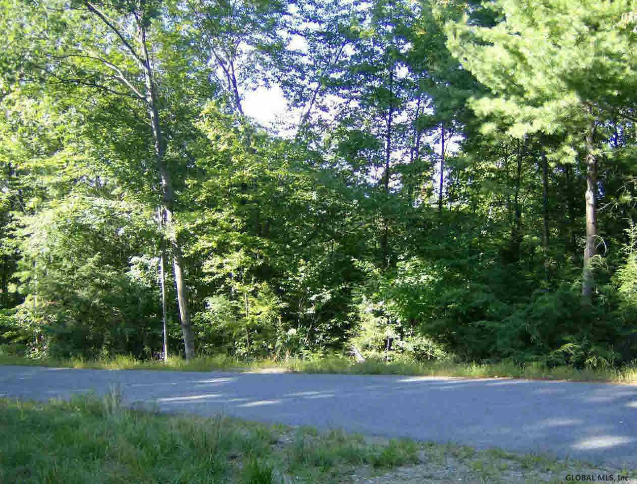 9 Spring Woods Lake George, NY 12845 - Photo 1 of 1 Photo 1