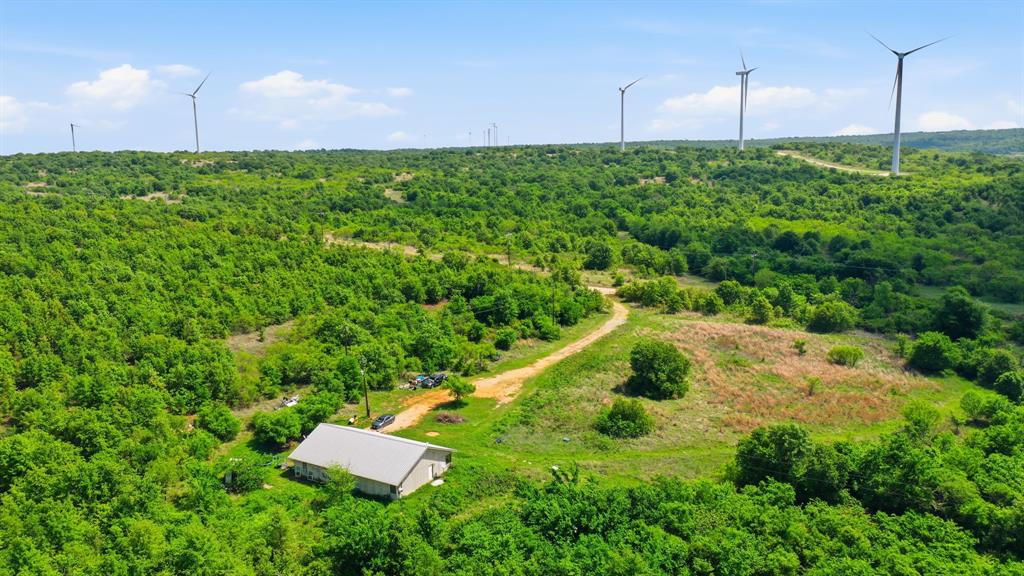 3180 Rock Creek Road Jacksboro, TX 76458 - Photo 12 of 17 a backyard of a house with a yard and trees