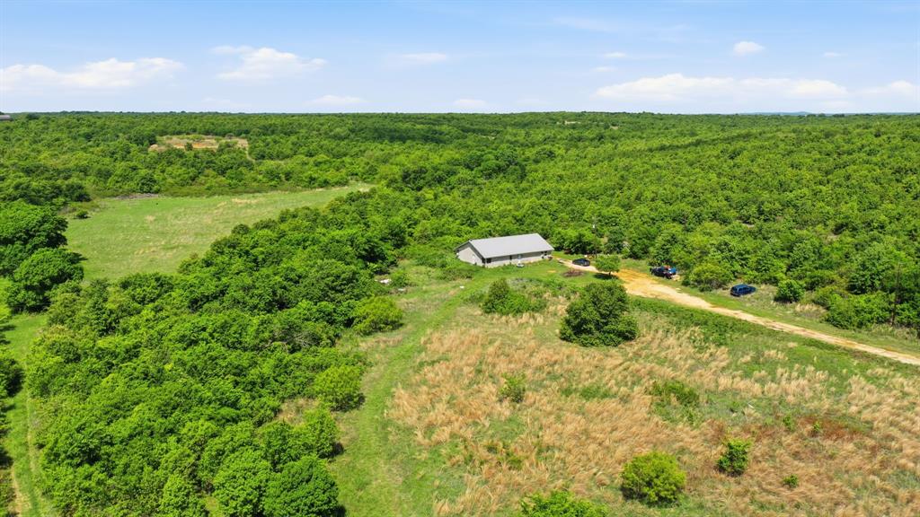3180 Rock Creek Road Jacksboro, TX 76458 - Photo 13 of 17 a view of a garden with a lake