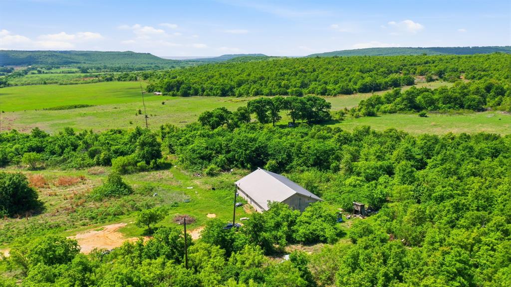 3180 Rock Creek Road Jacksboro, TX 76458 - Photo 16 of 17 a view of a green field with lots of plants in it
