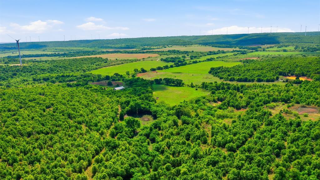 3180 Rock Creek Road Jacksboro, TX 76458 - Photo 4 of 17 a view of a lush green field