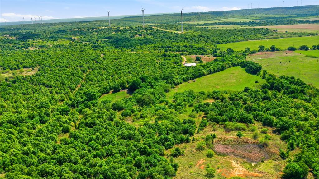 3180 Rock Creek Road Jacksboro, TX 76458 - Photo 5 of 17 a view of a green field with lots of green space