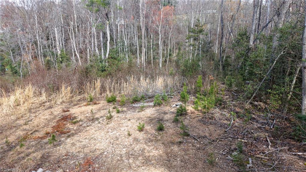 0 McKinley Road Roaring River, NC 28669 - Photo 7 of 35 Gallery Image 7