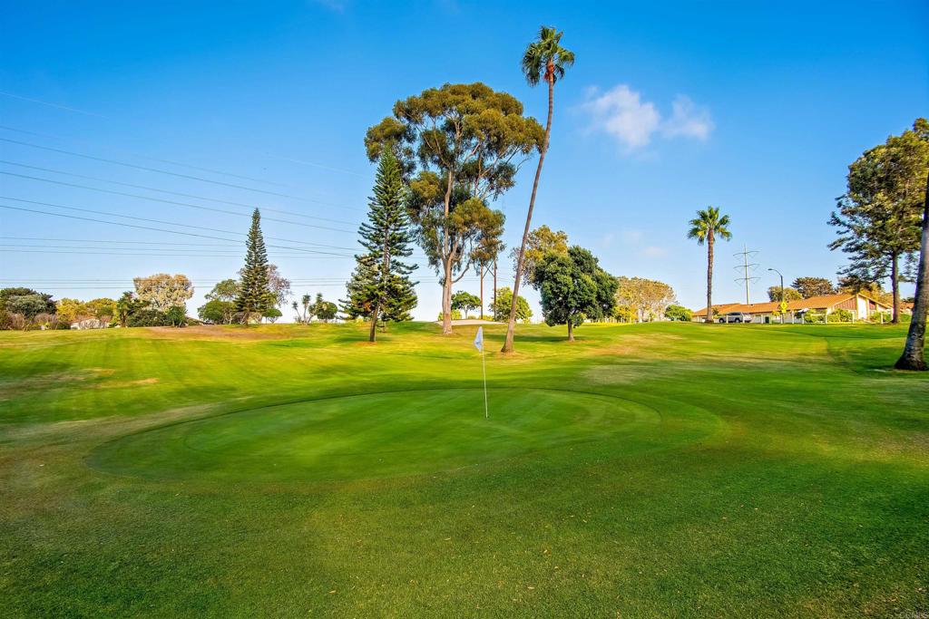 315 Volney Lane Encinitas, CA 92024 - Photo 49 of 51