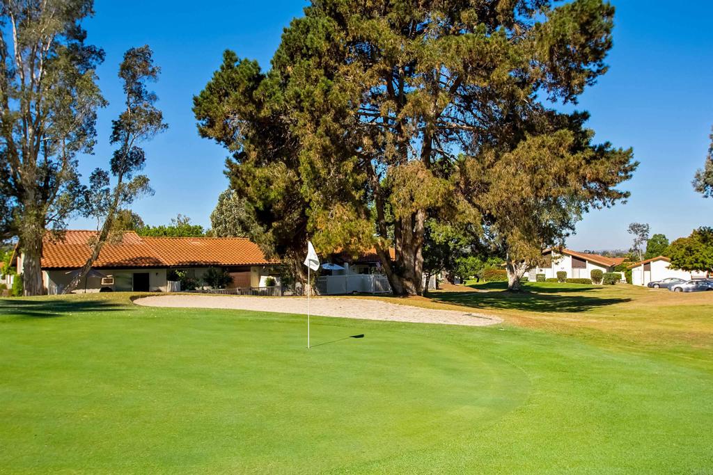 315 Volney Lane Encinitas, CA 92024 - Photo 51 of 51 a view of a park with large trees