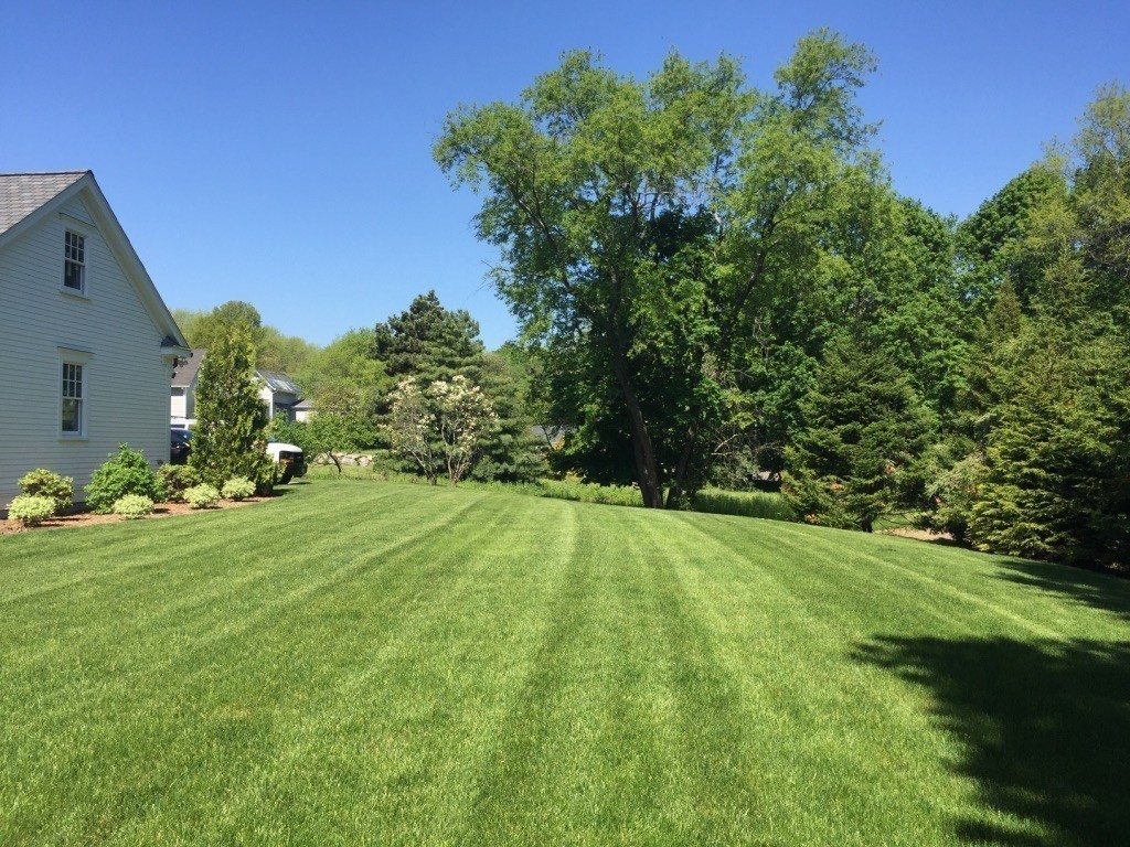 5 Sumner Lane Belmont, MA 02478 - Photo 17 of 19