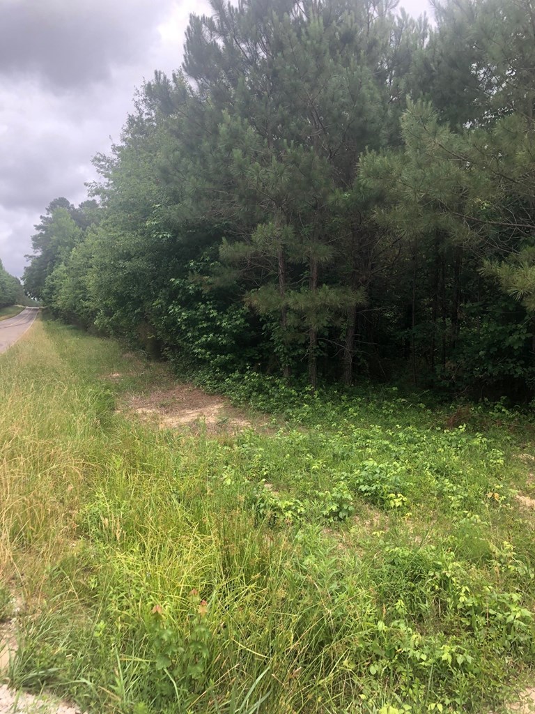 0 Old Chappell Ferry Road Johnston, SC 29832 - Photo 3 of 5 Gallery Image 3