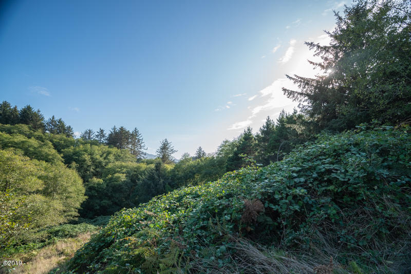 6005 Rowan Road Neskowin, OR 97149 - Photo 5 of 12 View from meadow above alder trees