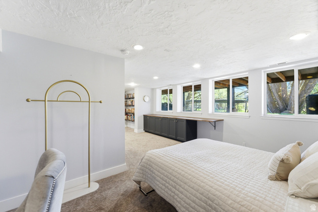 7935 Mustang Loop Road Park City, UT 84098 - Photo 35 of 60 Lower-level space featuring multiple windows, recessed lighting, and soft carpet flooring