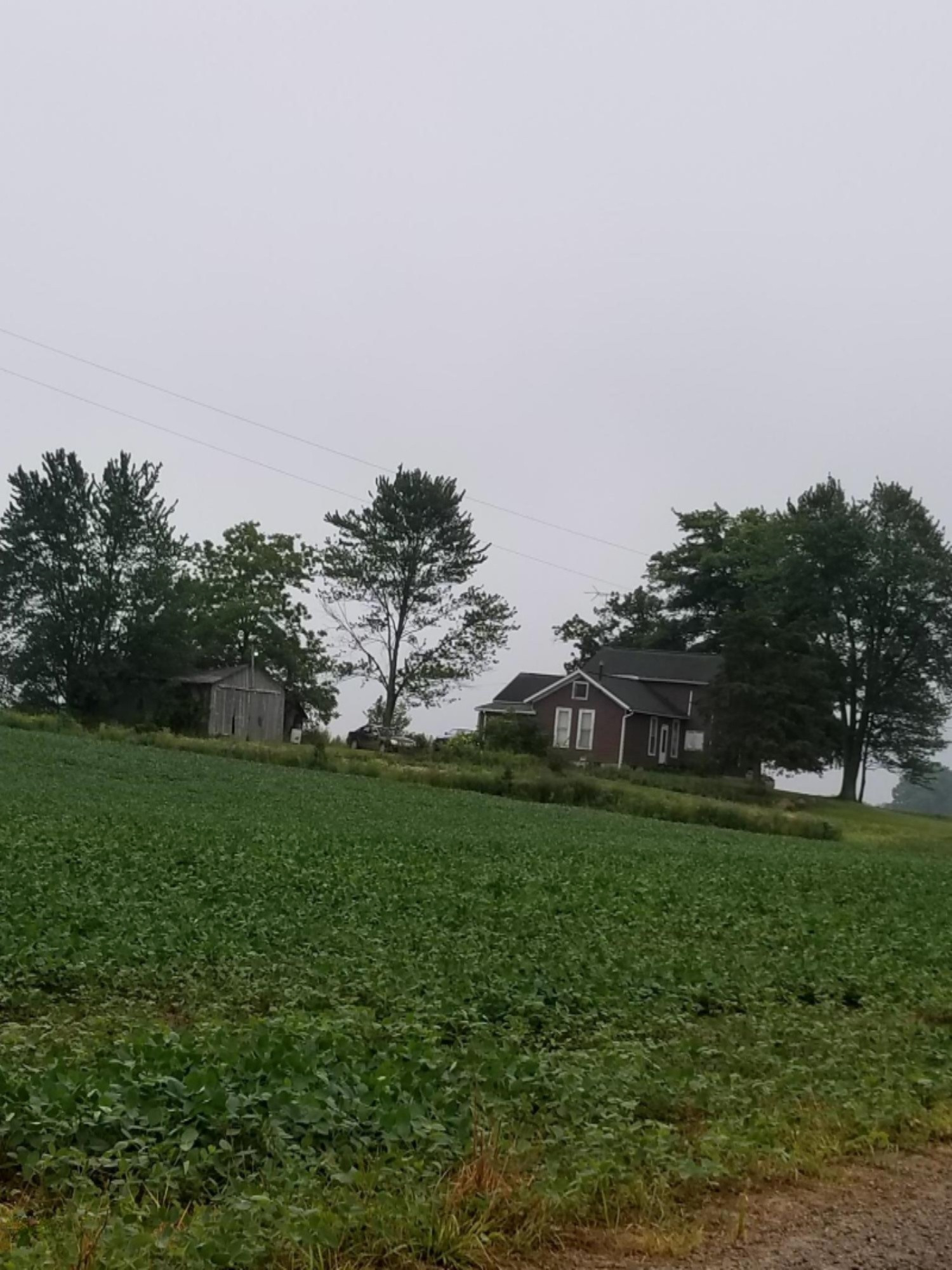 10451 Gilmore Road Camden, MI 49232 - Photo 7 of 25 jag5