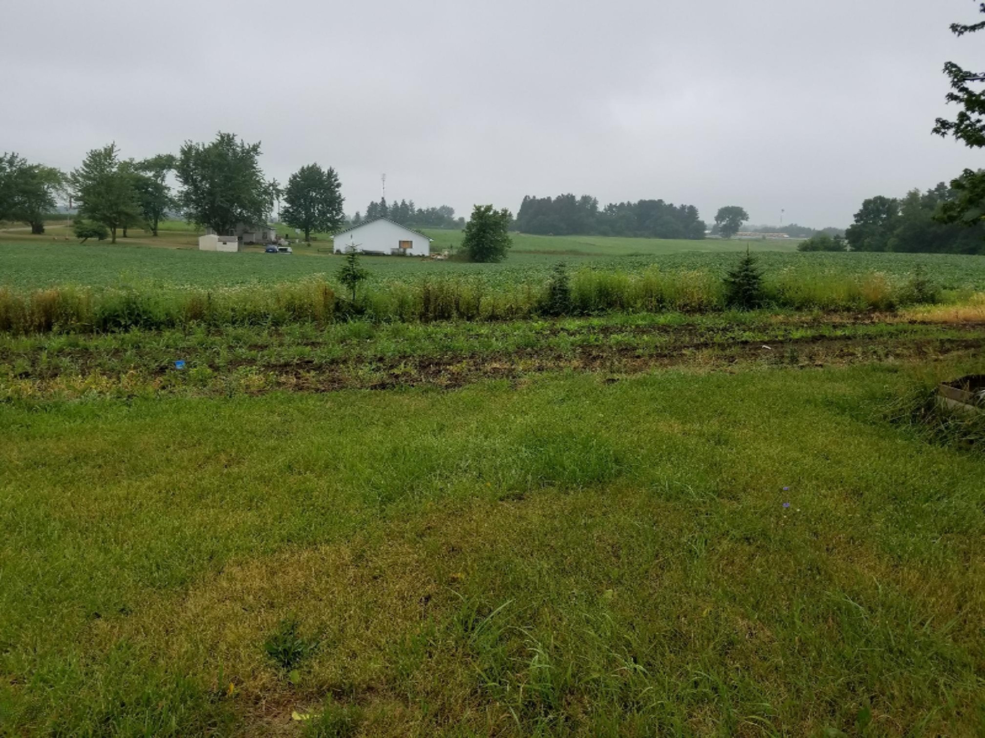 10451 Gilmore Road Camden, MI 49232 - Photo 9 of 25 jag18
