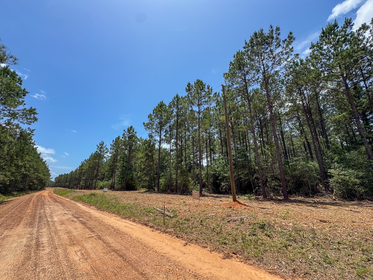 7 Benny Griffin Road Livingston, TX 77351 - Photo 25 of 44 a view of outdoor space and yard