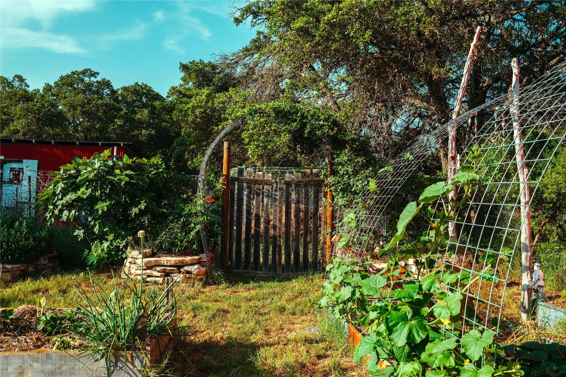 435 Spangenberg Road Blanco, TX 78606 - Photo 36 of 40