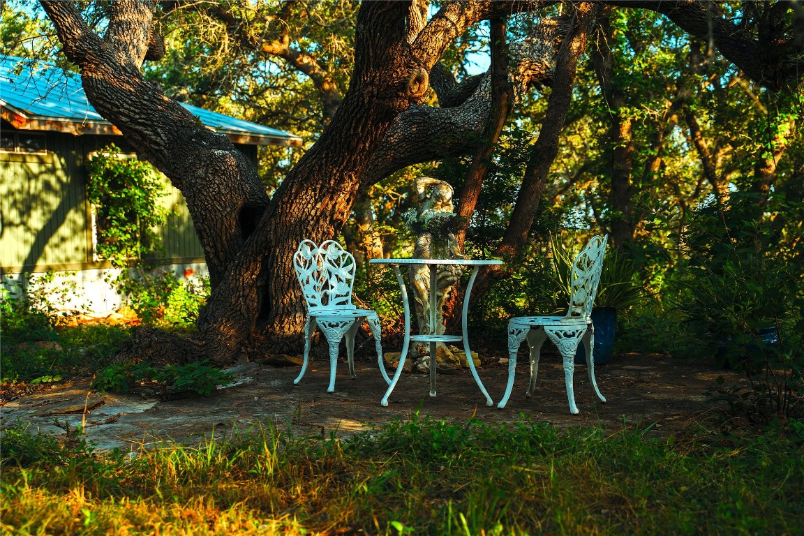 435 Spangenberg Road Blanco, TX 78606 - Photo 40 of 40 a view of a yard with plants and a large tree