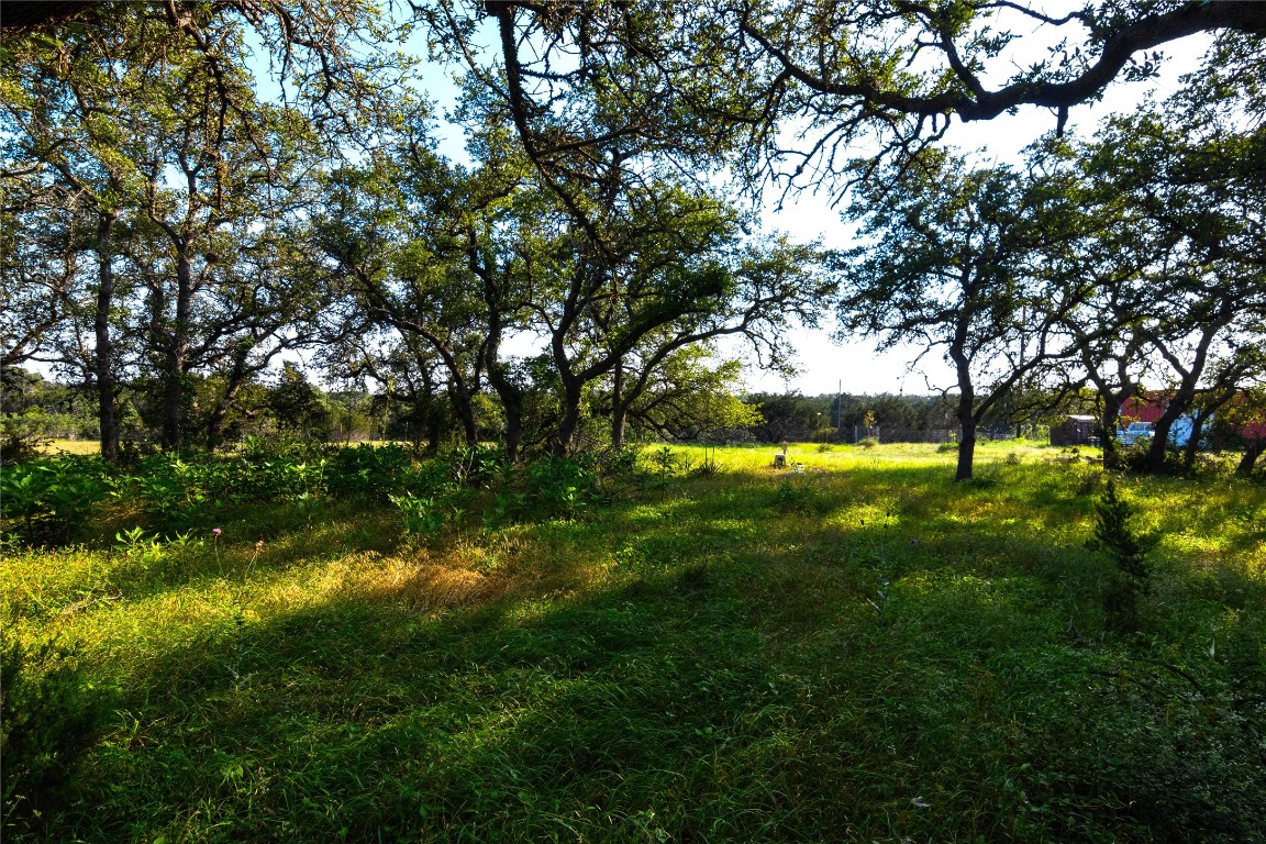 435 Spangenberg Road Blanco, TX 78606 - Photo 8 of 40 a view of yard with large trees