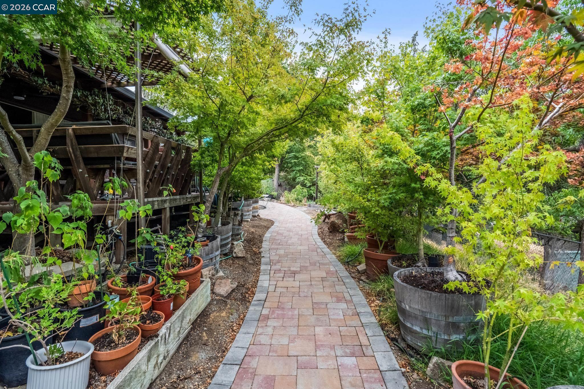 411 La Vista Road Walnut Creek, CA 94598 - Photo 54 of 57 a view of a pathway with plants