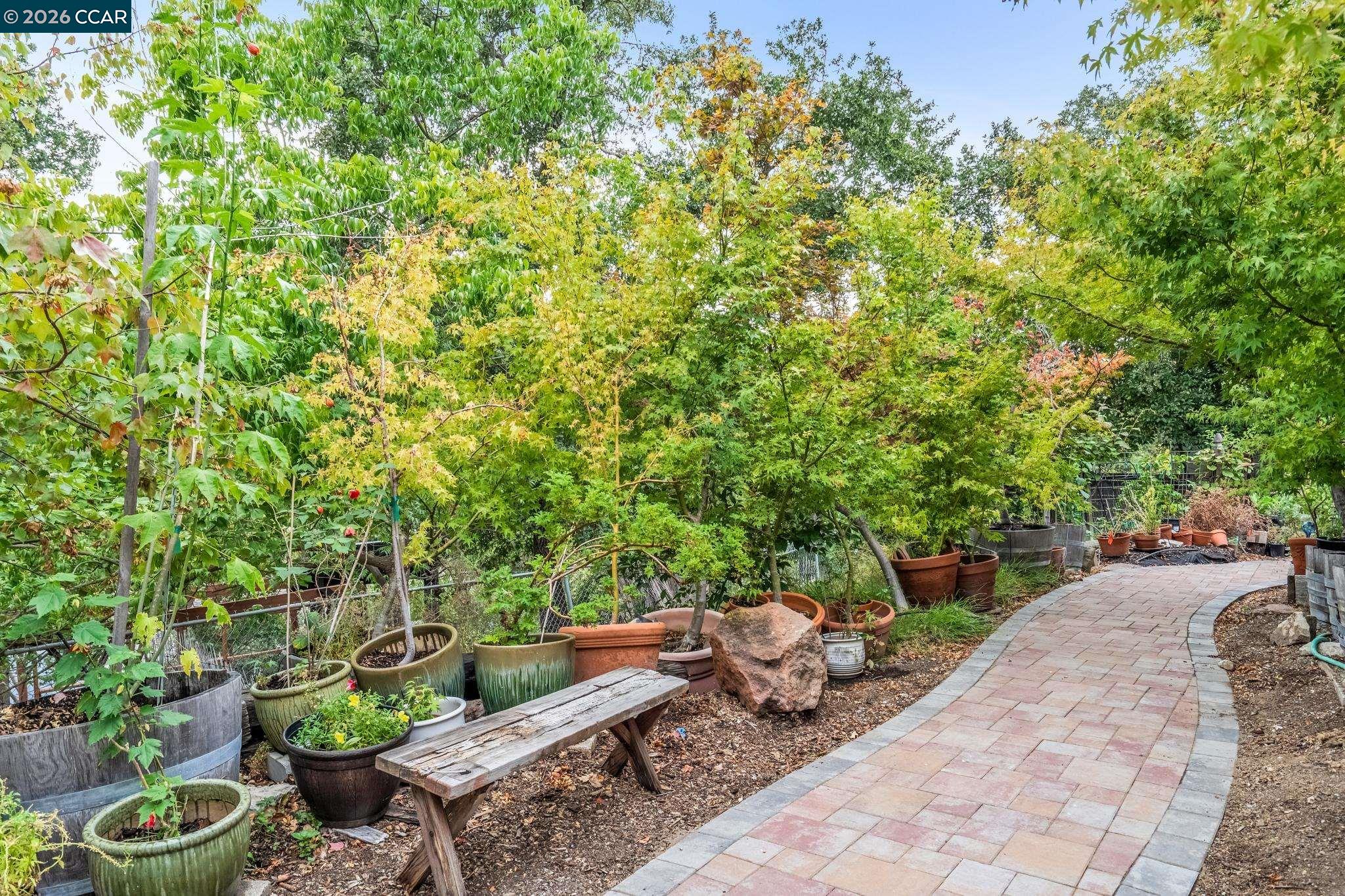 411 La Vista Road Walnut Creek, CA 94598 - Photo 55 of 57 a view of a backyard with plants and a patio