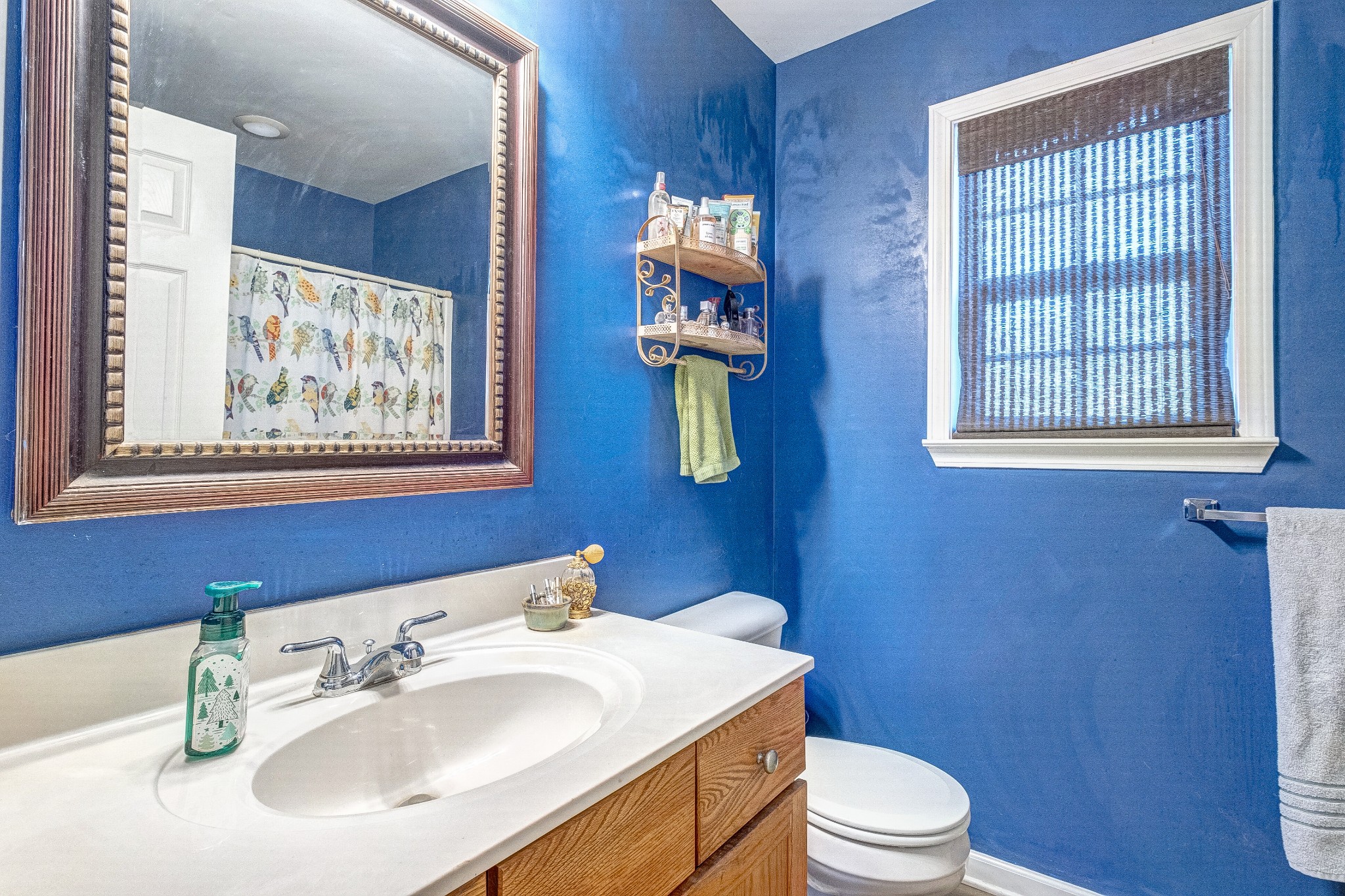 725 Neelys Bend Road Madison, TN 37115 - Photo 8 of 13 a bathroom with a toilet a sink and mirror