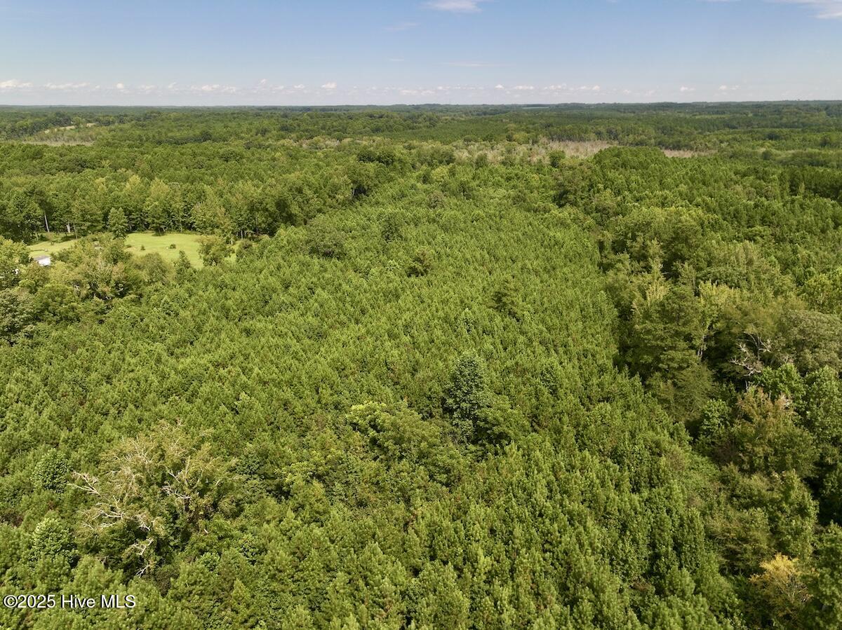 1004 No Bottom Road Warrenton, NC 27589 - Photo 11 of 85 11
