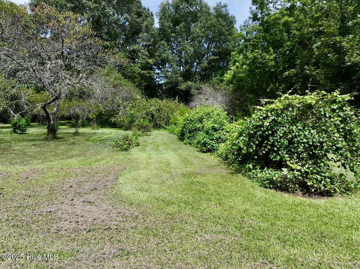 1004 No Bottom Road Warrenton, NC 27589 - Photo 13 of 85 13