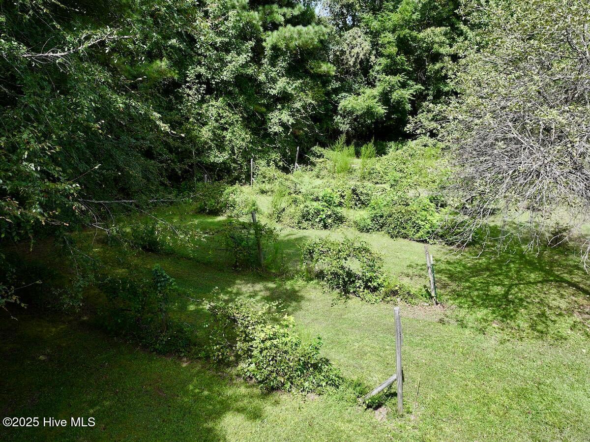 1004 No Bottom Road Warrenton, NC 27589 - Photo 14 of 85 14