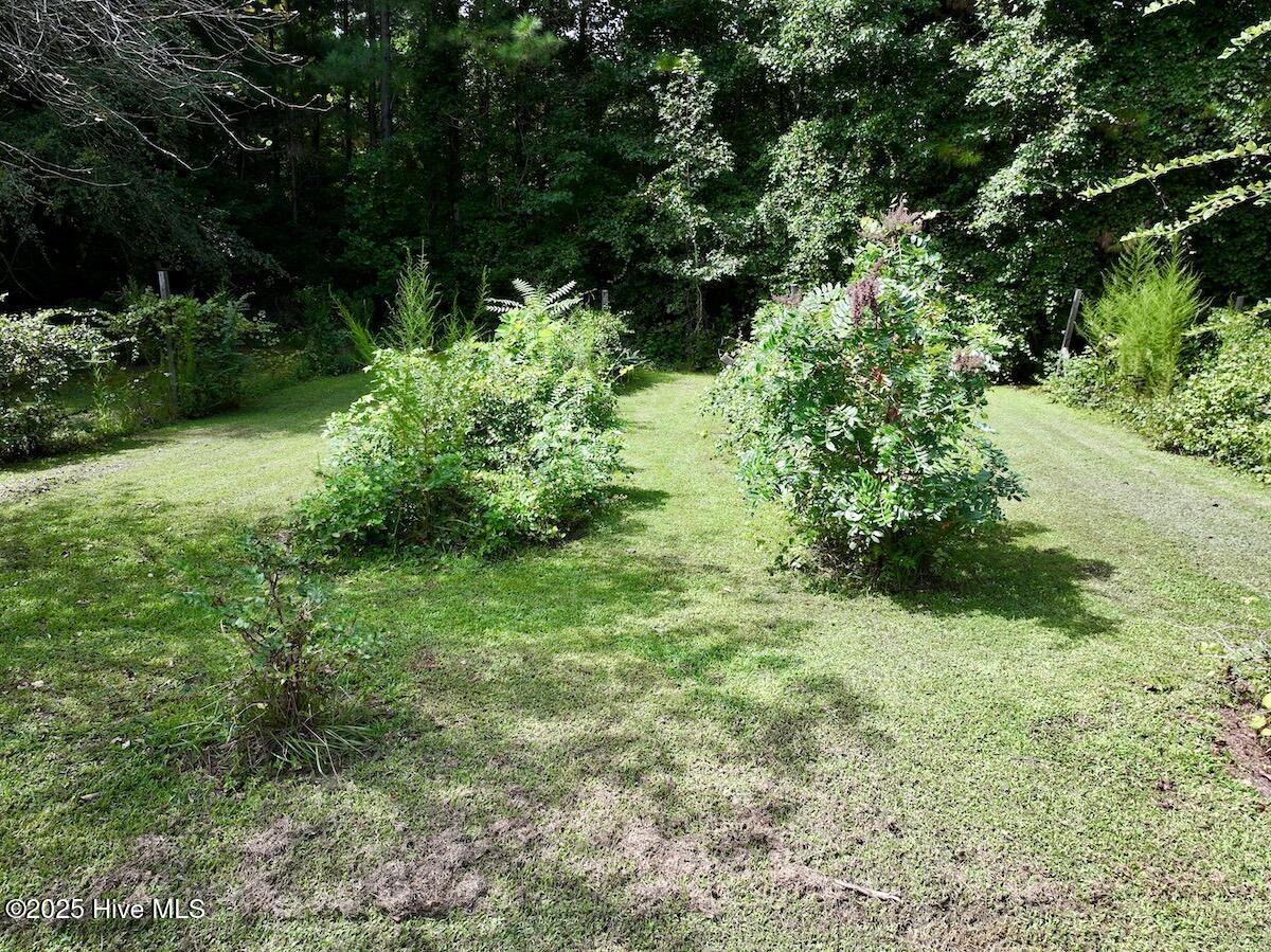 1004 No Bottom Road Warrenton, NC 27589 - Photo 15 of 85 15