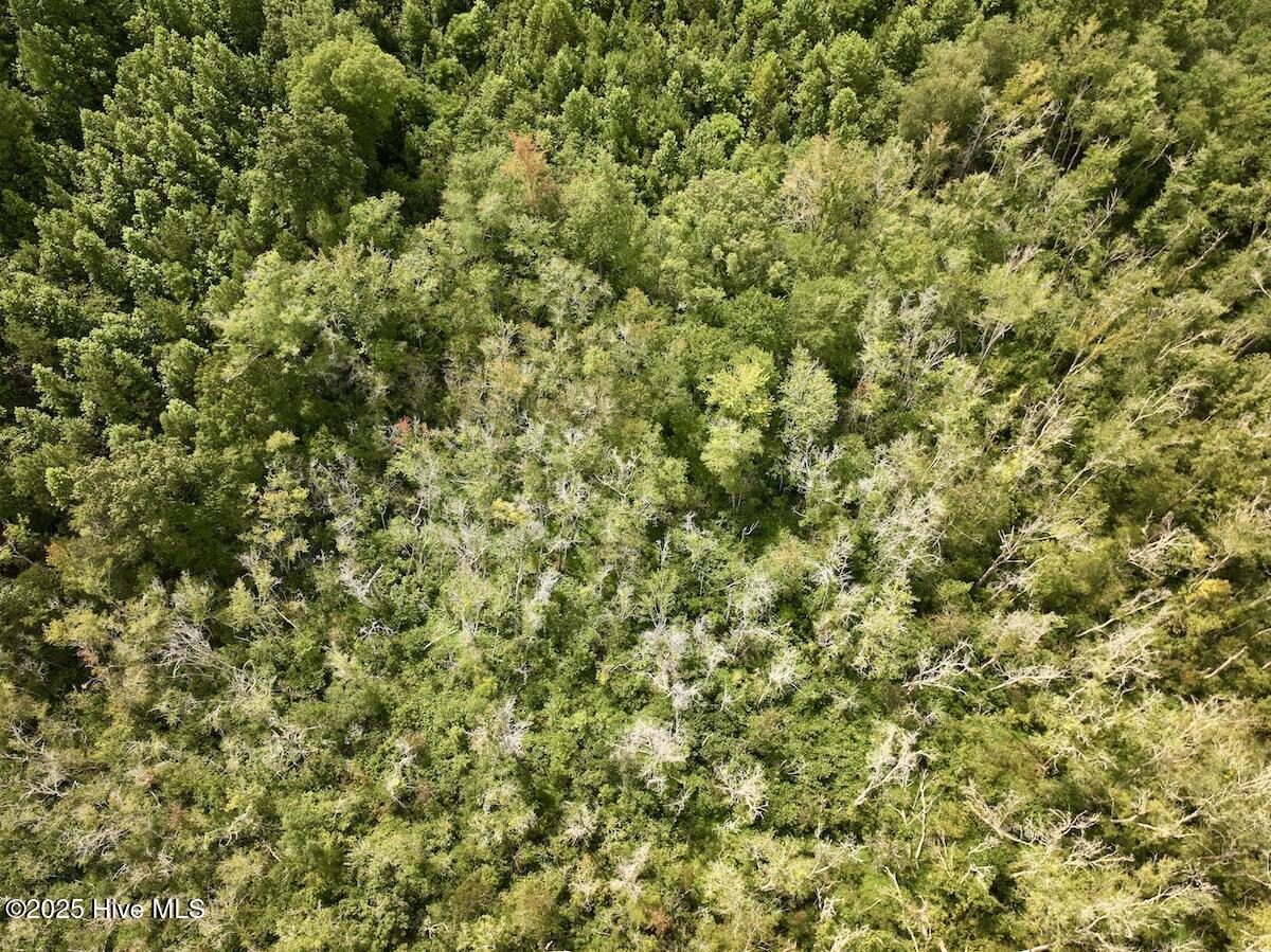 1004 No Bottom Road Warrenton, NC 27589 - Photo 16 of 85 16