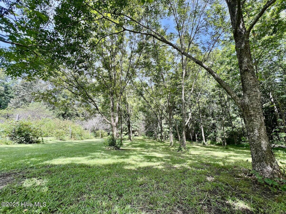 1004 No Bottom Road Warrenton, NC 27589 - Photo 19 of 85 19