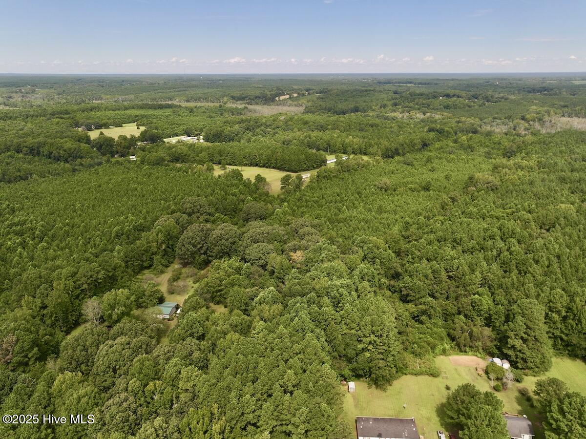 1004 No Bottom Road Warrenton, NC 27589 - Photo 2 of 85 2