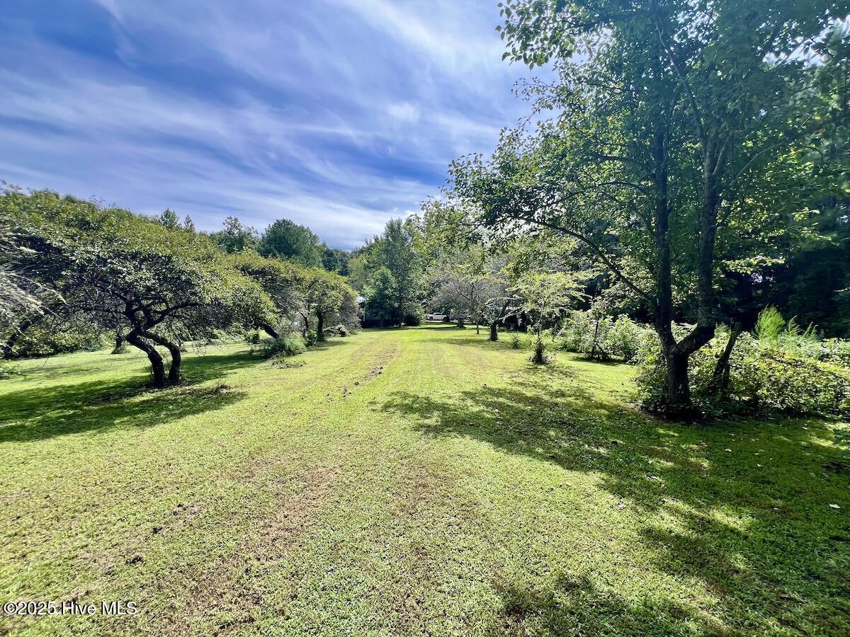 1004 No Bottom Road Warrenton, NC 27589 - Photo 21 of 85 21
