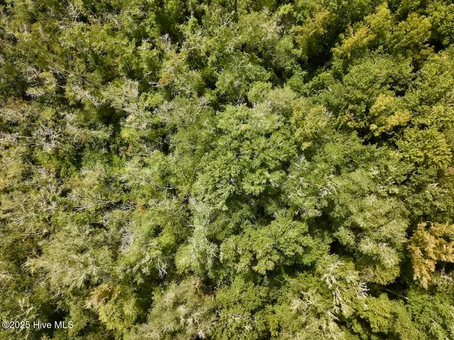 $414,900 | 1004 No Bottom Road, Warrenton, NC 27589