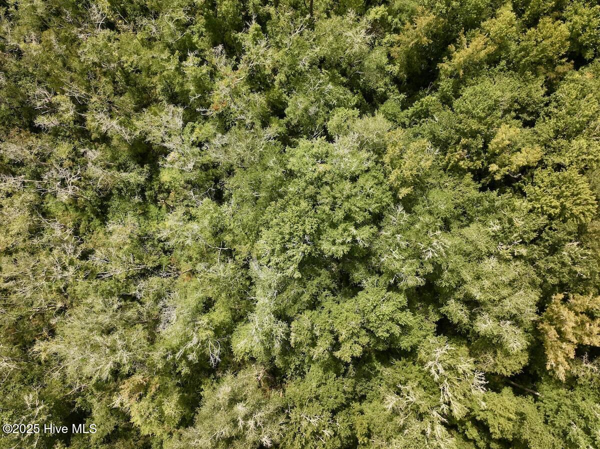 1004 No Bottom Road Warrenton, NC 27589 - Photo 22 of 85 22