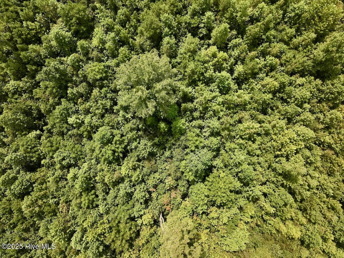 1004 No Bottom Road Warrenton, NC 27589 - Photo 23 of 85 23