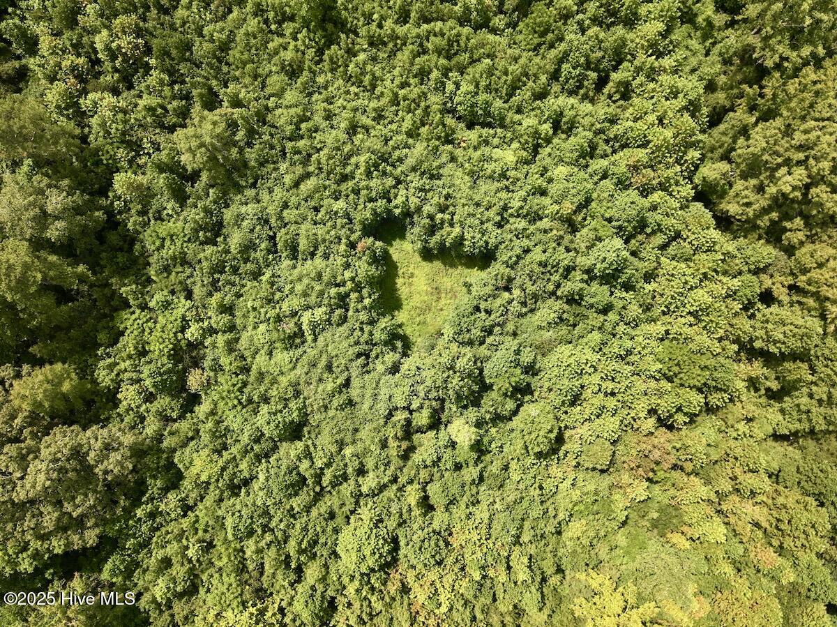 1004 No Bottom Road Warrenton, NC 27589 - Photo 24 of 85 24