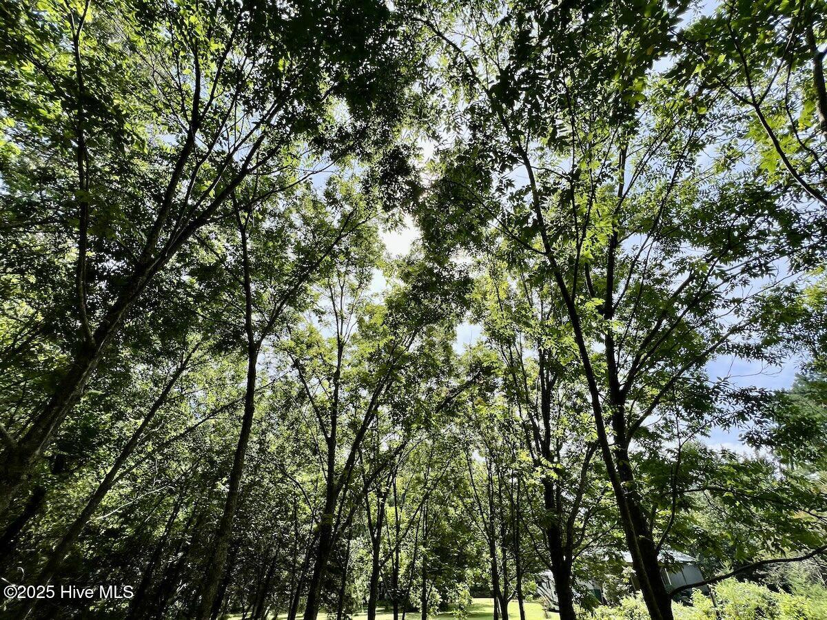 1004 No Bottom Road Warrenton, NC 27589 - Photo 26 of 85 26