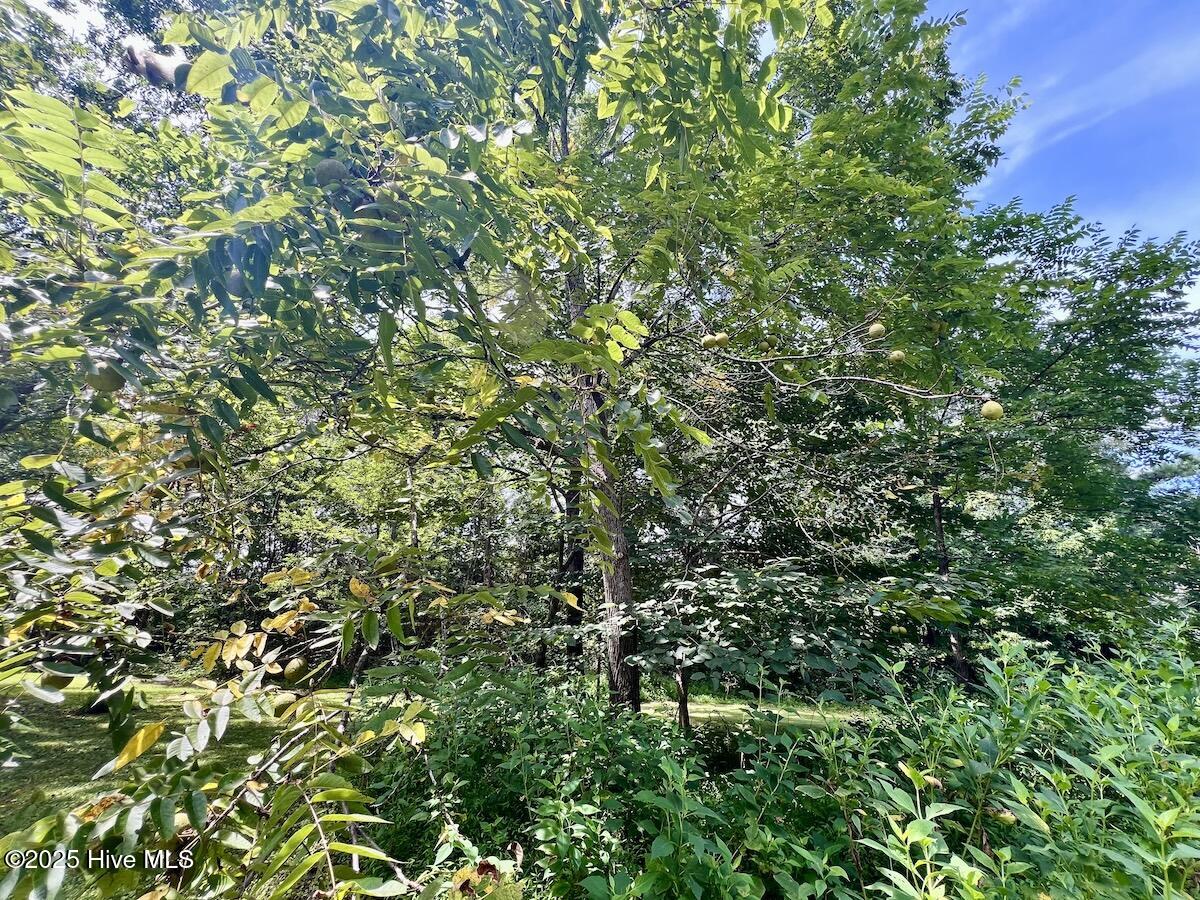 1004 No Bottom Road Warrenton, NC 27589 - Photo 27 of 85 27