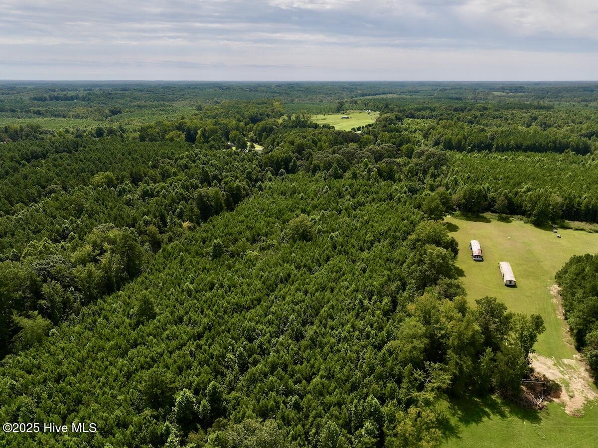 1004 No Bottom Road Warrenton, NC 27589 - Photo 28 of 85 28