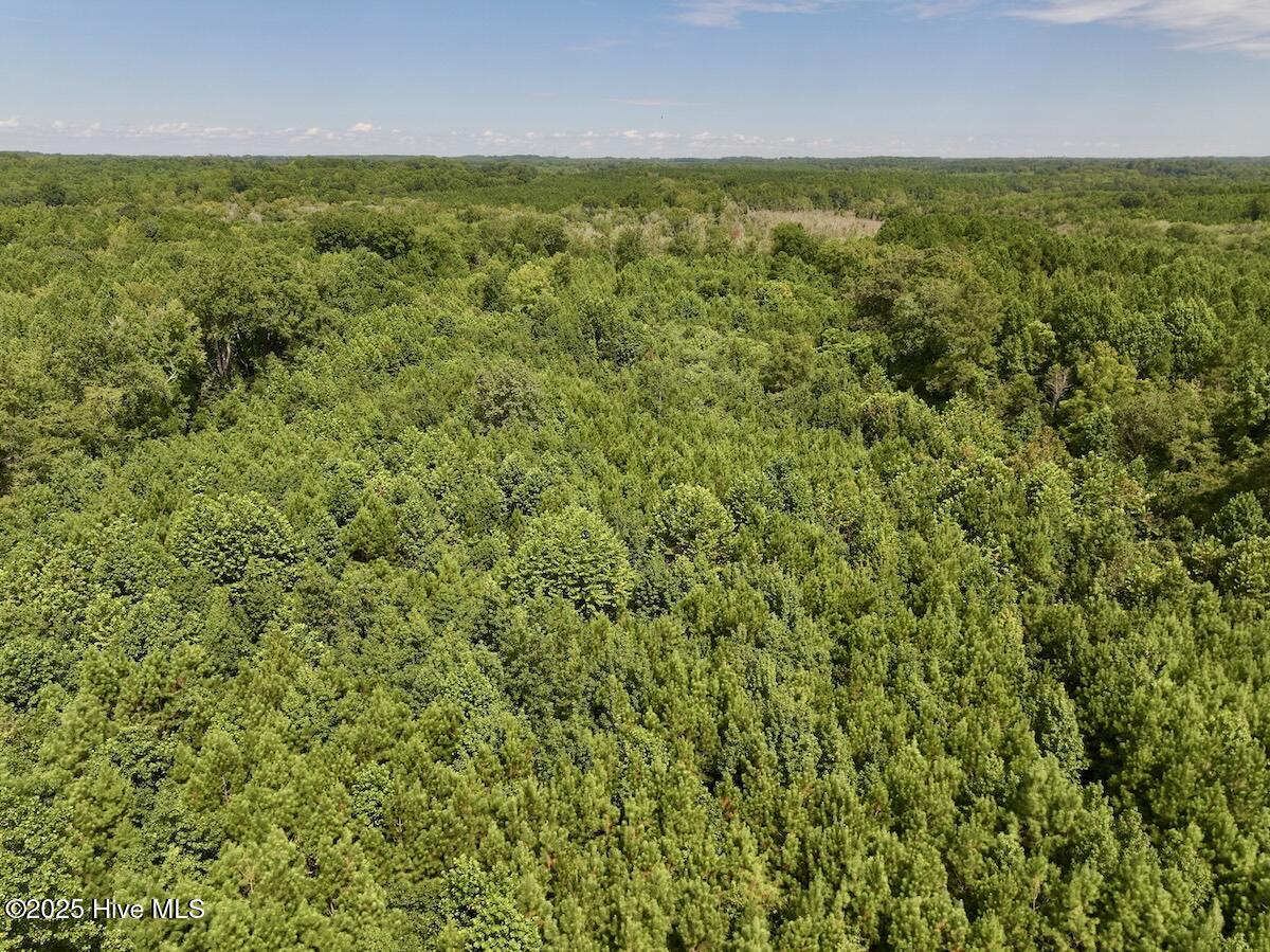 1004 No Bottom Road Warrenton, NC 27589 - Photo 30 of 85 30