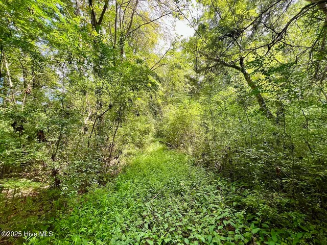 $414,900 | 1004 No Bottom Road, Warrenton, NC 27589