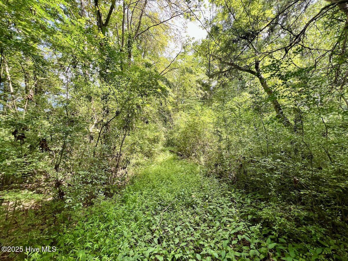 1004 No Bottom Road Warrenton, NC 27589 - Photo 31 of 85 31
