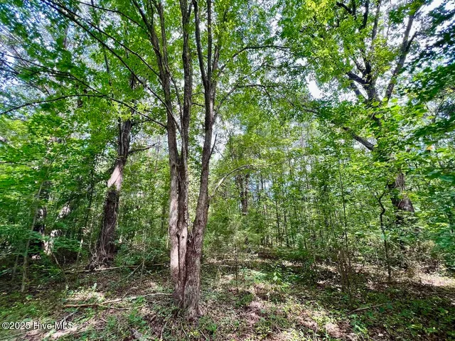 $414,900 | 1004 No Bottom Road, Warrenton, NC 27589