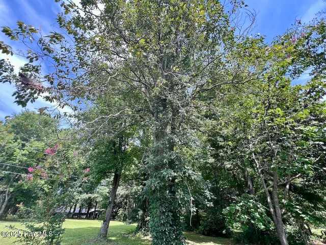 $414,900 | 1004 No Bottom Road, Warrenton, NC 27589