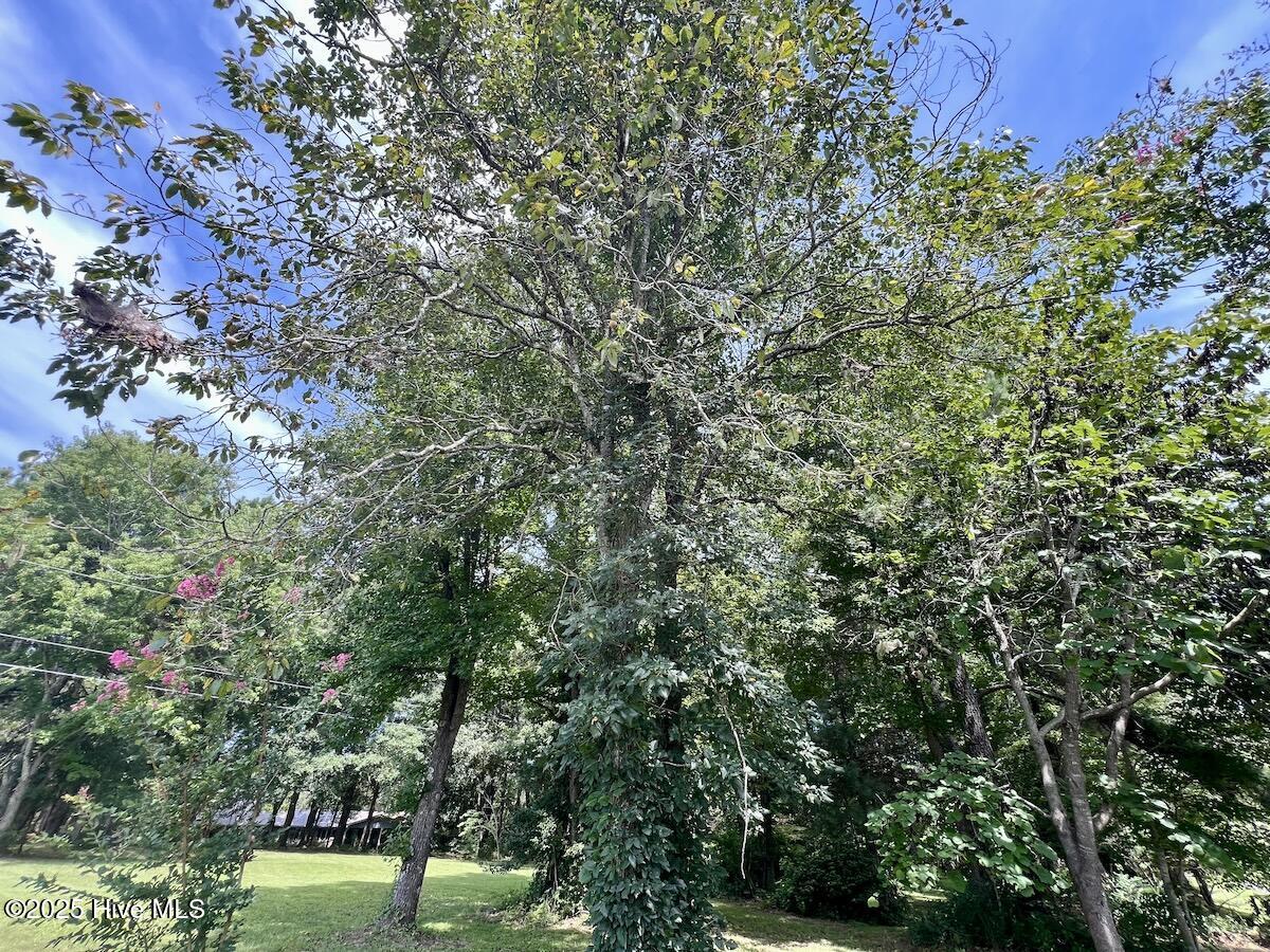 1004 No Bottom Road Warrenton, NC 27589 - Photo 33 of 85 33