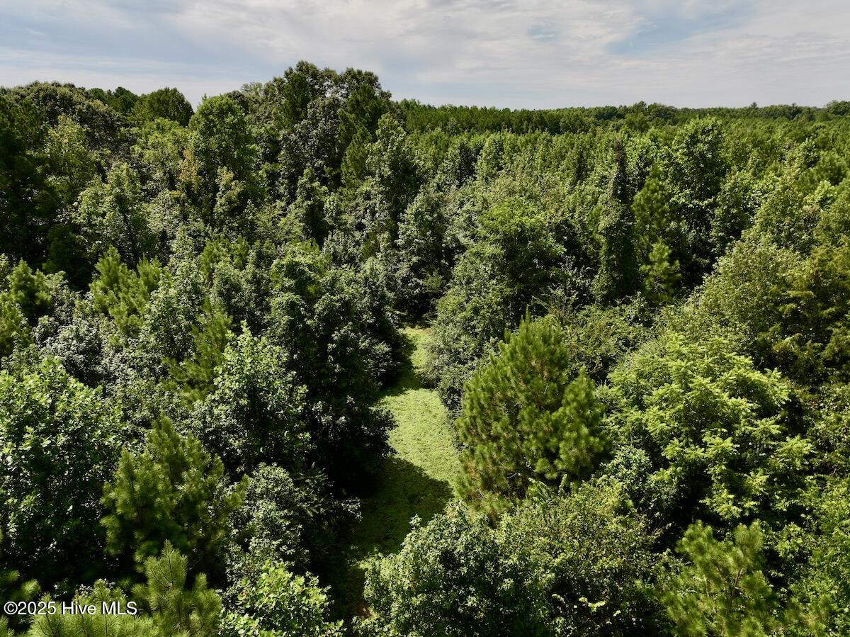 1004 No Bottom Road Warrenton, NC 27589 - Photo 34 of 85 34