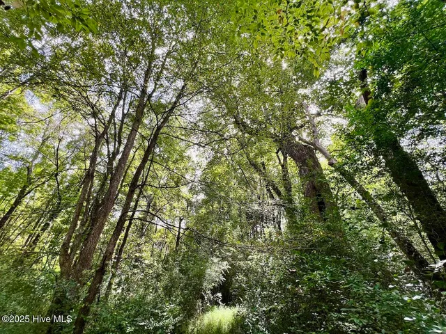 $414,900 | 1004 No Bottom Road, Warrenton, NC 27589