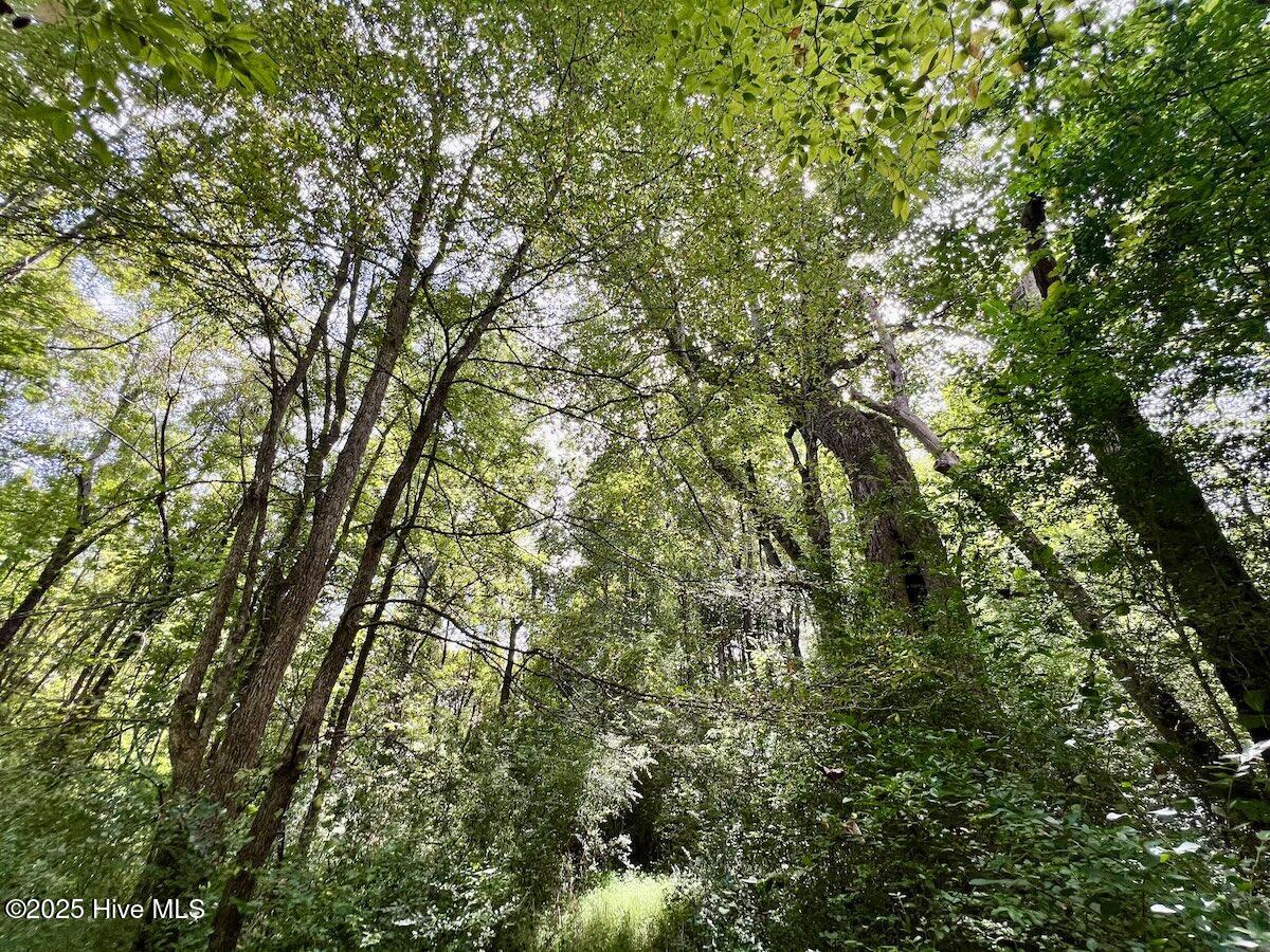 1004 No Bottom Road Warrenton, NC 27589 - Photo 37 of 85 37