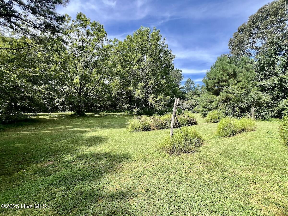 1004 No Bottom Road Warrenton, NC 27589 - Photo 38 of 85 38