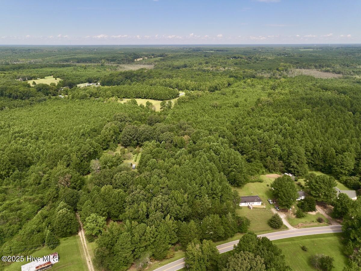 1004 No Bottom Road Warrenton, NC 27589 - Photo 39 of 85 40